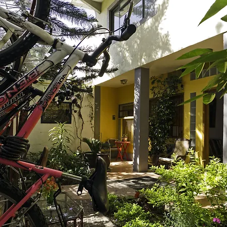 Chalet del Carmen, Coyoacán