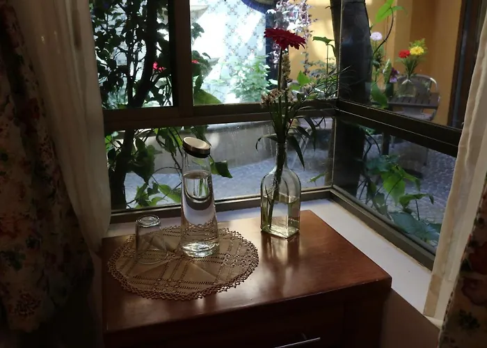 Del Carmen, Coyoacán Hotel