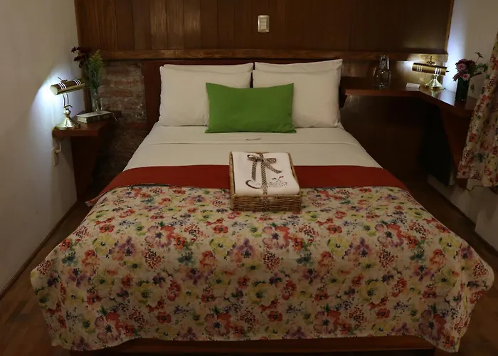 Del Carmen, Coyoacán Hotel 3*