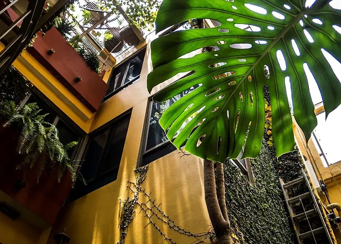 Hotel Del Carmen, Coyoacán