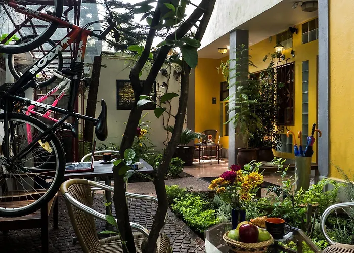 Del Carmen, Coyoacán 3*