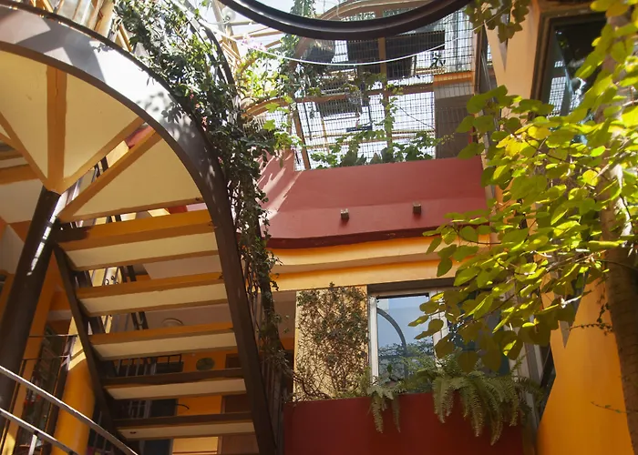 Del Carmen, Coyoacán 3* México DF