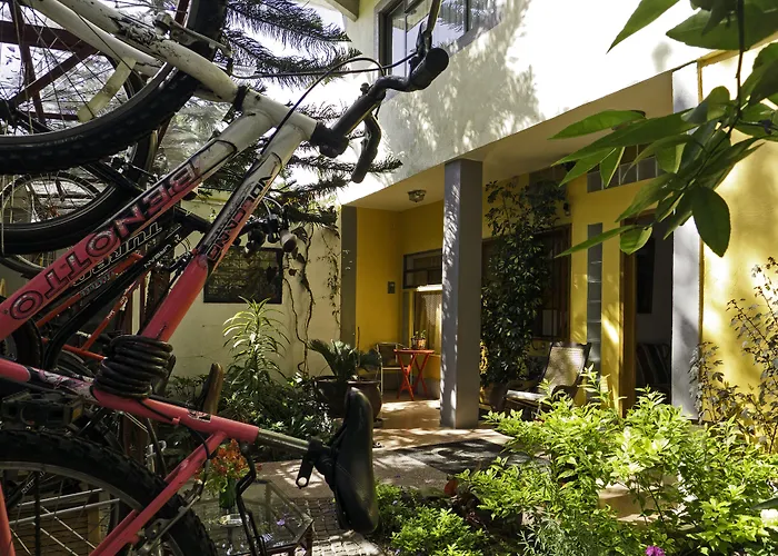Del Carmen, Coyoacán