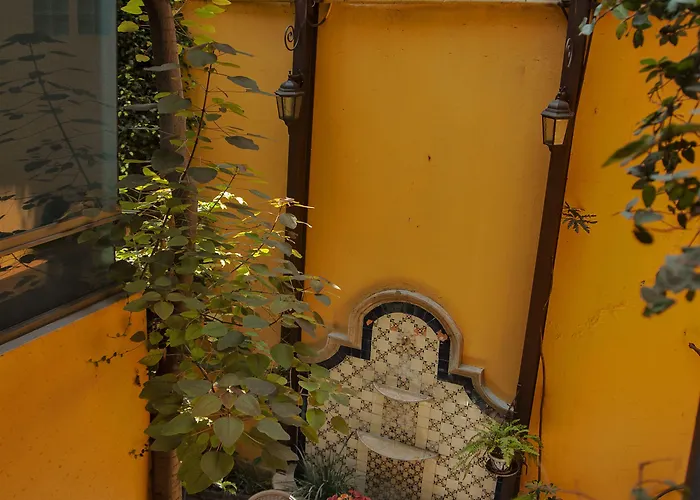 Del Carmen, Coyoacán México DF